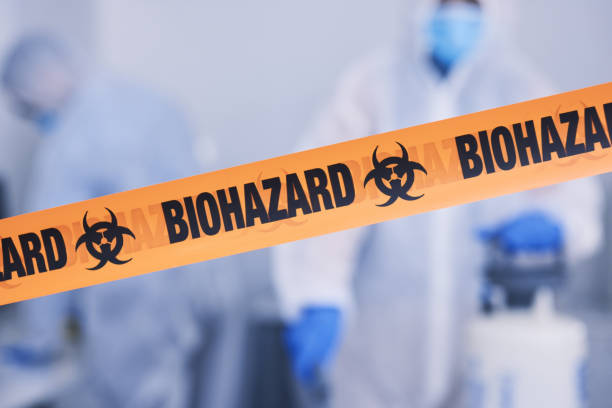 Professional Odor Removal technician working in Black Diamond, FL